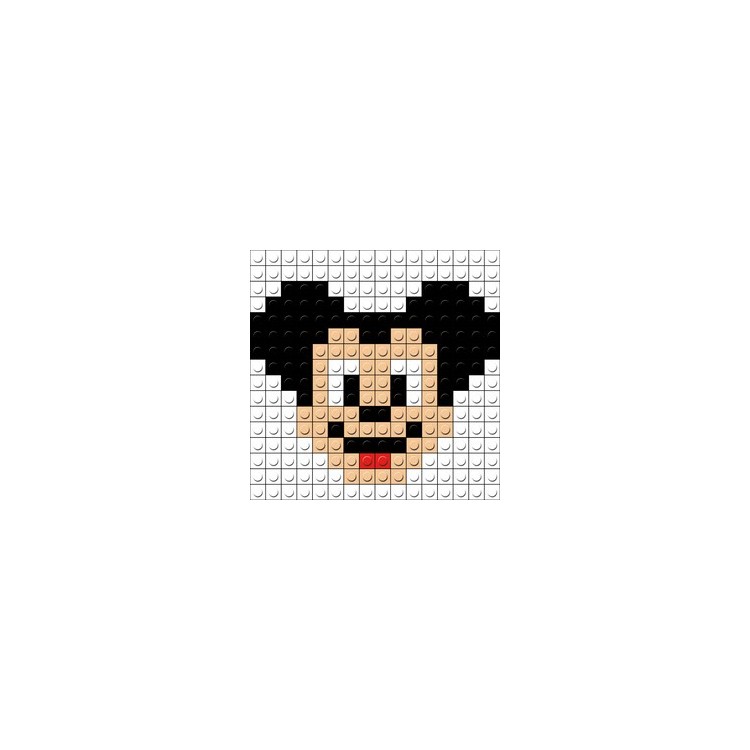 Mini kit puzzle bricks Mickey